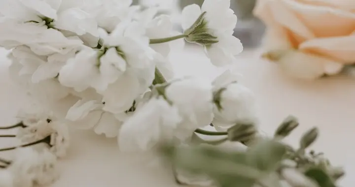 中年夫妻過不好，通常有3個原因，你中招了嗎？