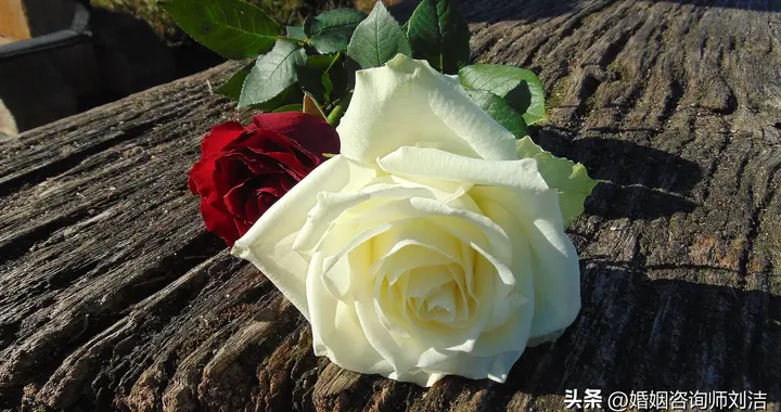 婚姻出現以下3種狀況，真的沒必要再修復了，趕緊止損