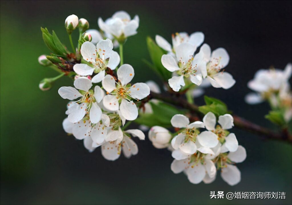老公不把你當回事，原因有三，女人看懂就別再碰