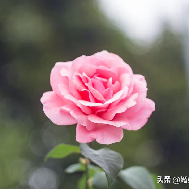 中年夫妻,別高估了你的枕邊人,切記在3件事上留個心眼