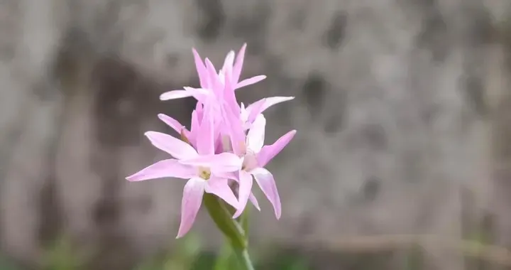 《增廣賢文》中的三句話告訴你，為什麼要生兒育女