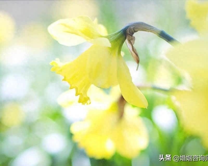 夫妻之間,遲早會離婚的徵兆:3種做法