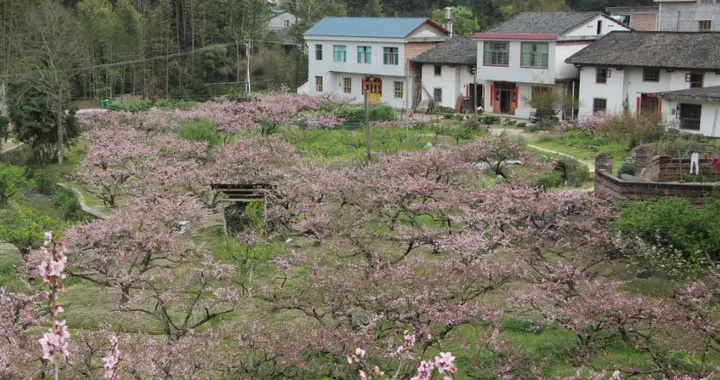 農村女孩,為什麼不願再嫁回農村,不是嫌貧愛富,而是這四個原因
