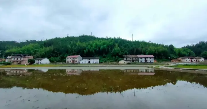 回農村學校走一圈,才發現故鄉回不去了
