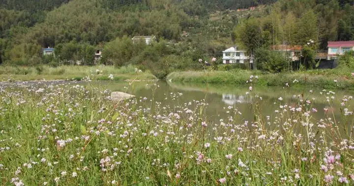 五十多歲的70後，如果夫妻還折騰這幾件事，難免晚景淒涼