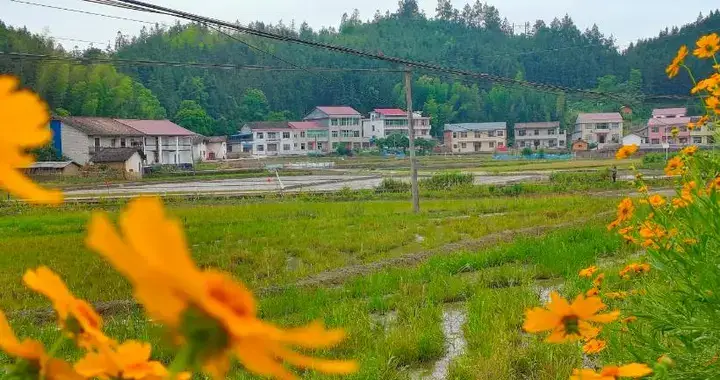 回農村老家過中秋節，就會明白這幾個家庭真相