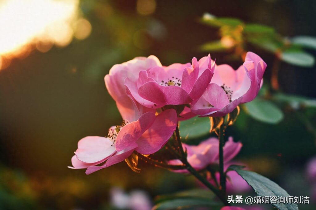 有種女人，在男人眼裏很廉價，根本不會用心對待