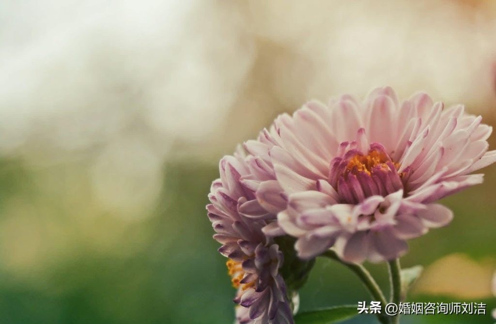 夫妻恩愛到老的秘訣：五多，三少，四不要