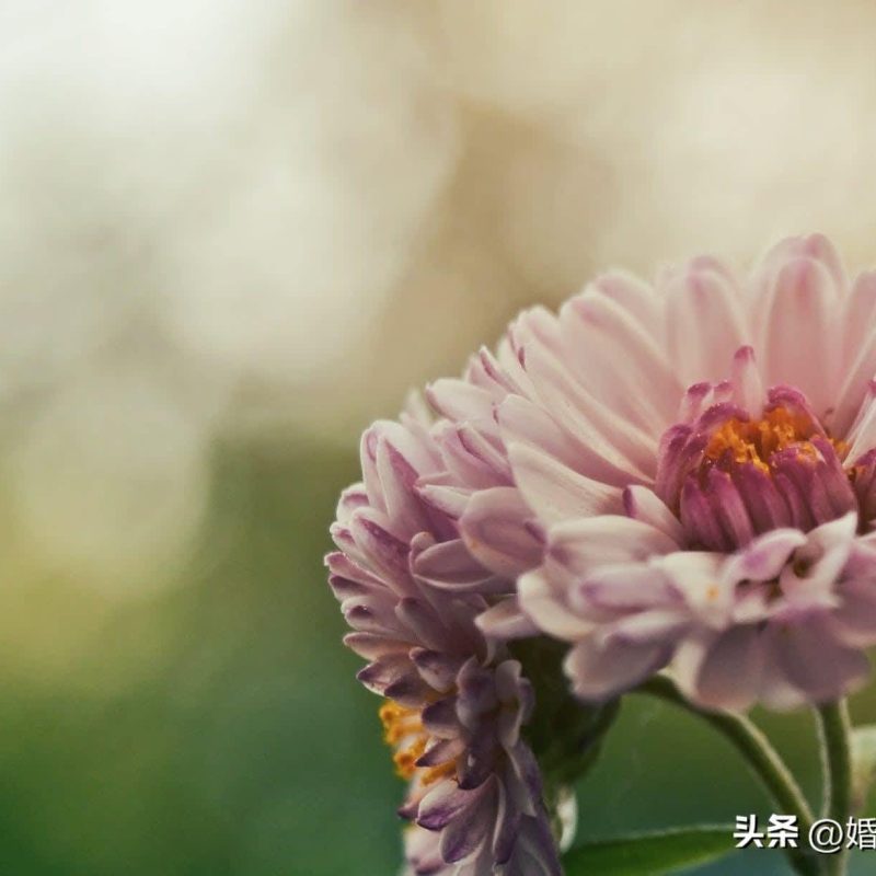 夫妻恩愛到老的秘訣:五多,三少,四不要