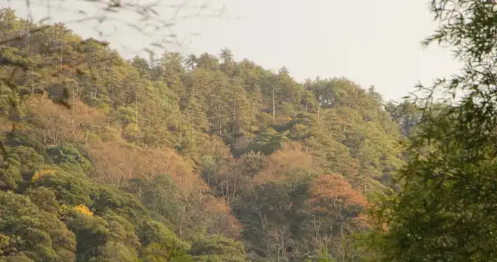 人老了,要記住“夫妻不送葬,送葬必遭殃”,這可不是迷信