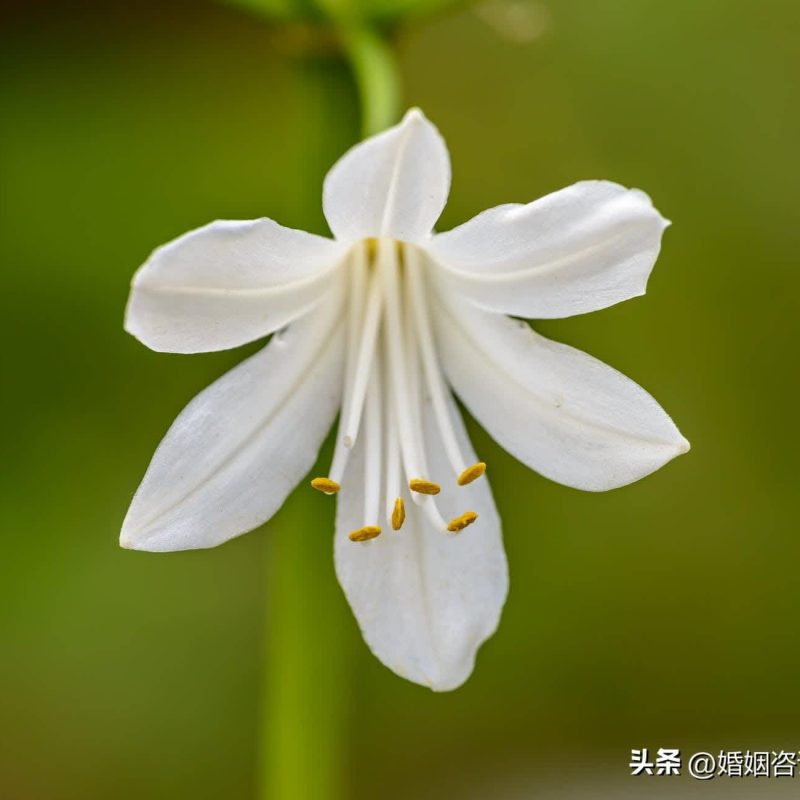 男人很煩聽3句話,勸你別說,他會記恨的