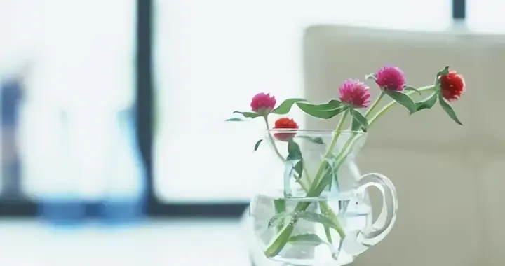 人到中年，學會低配生活，做到“六不要”
