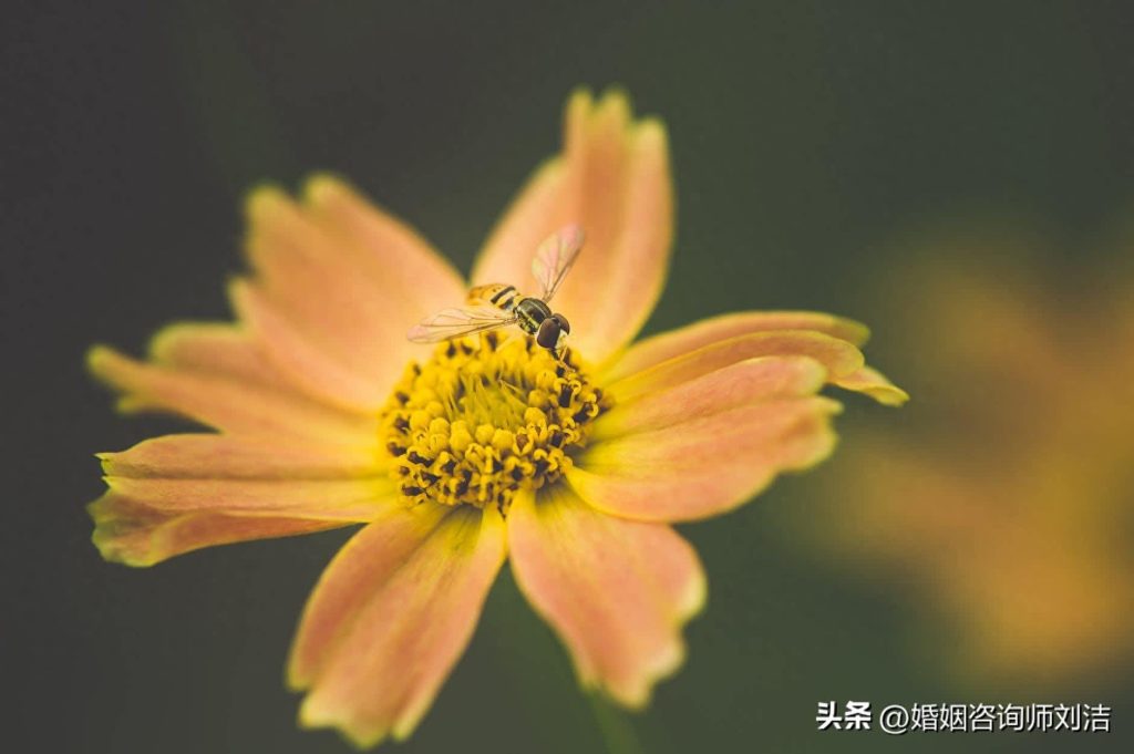 二婚夫妻，其實更容易離婚，有3個“坎”躲不掉