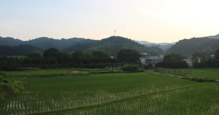 畢業30年後的同學聚會，讓我發現了70後的三個人生真相