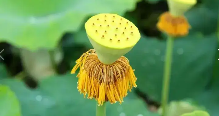 一個人最了不起的格局：輸得起