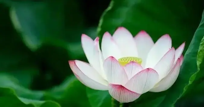 為什麼別輕易和親戚斷交，看完你就明白了