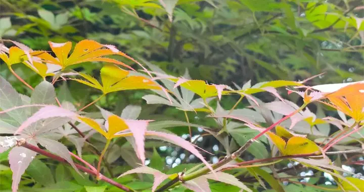 人過六十，逐一還完這3種債，就離歸去不遠了