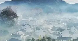 不該發生的悲劇