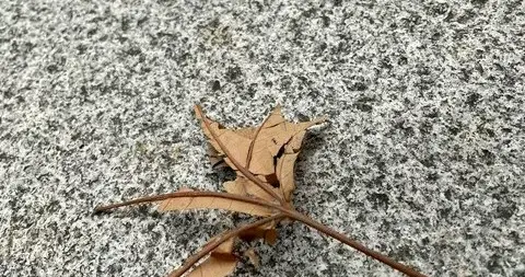 你帶走了我的心