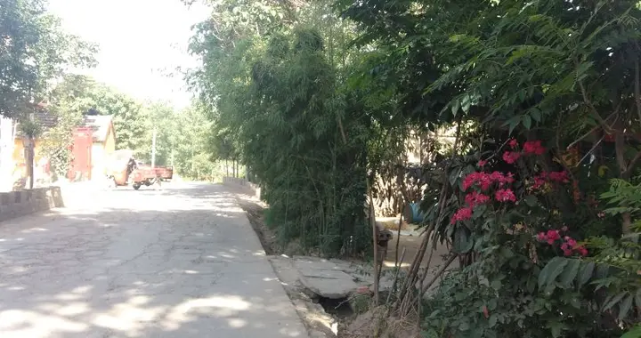 心臟搭橋