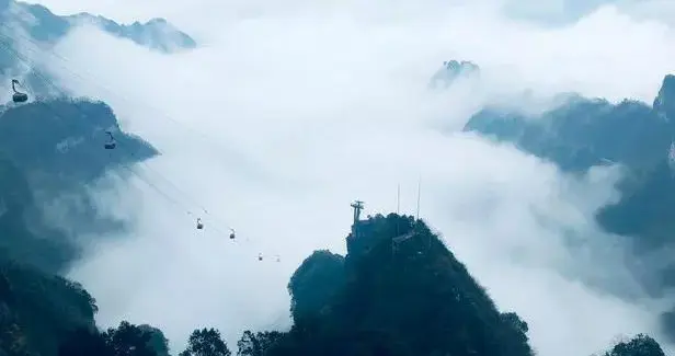 惱人的減肥