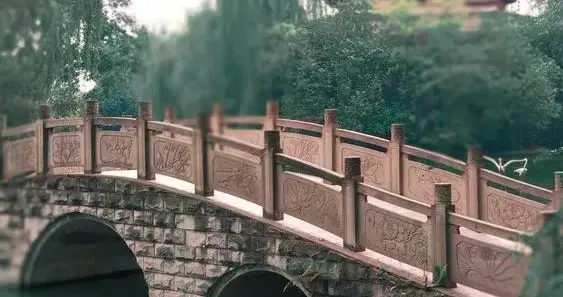 有個兒子真後悔