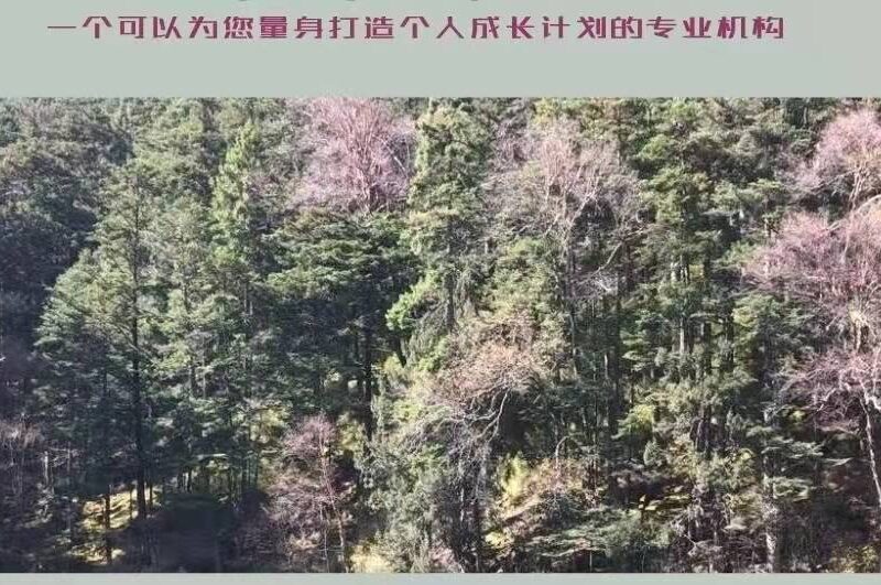 沒有什麼是應該的