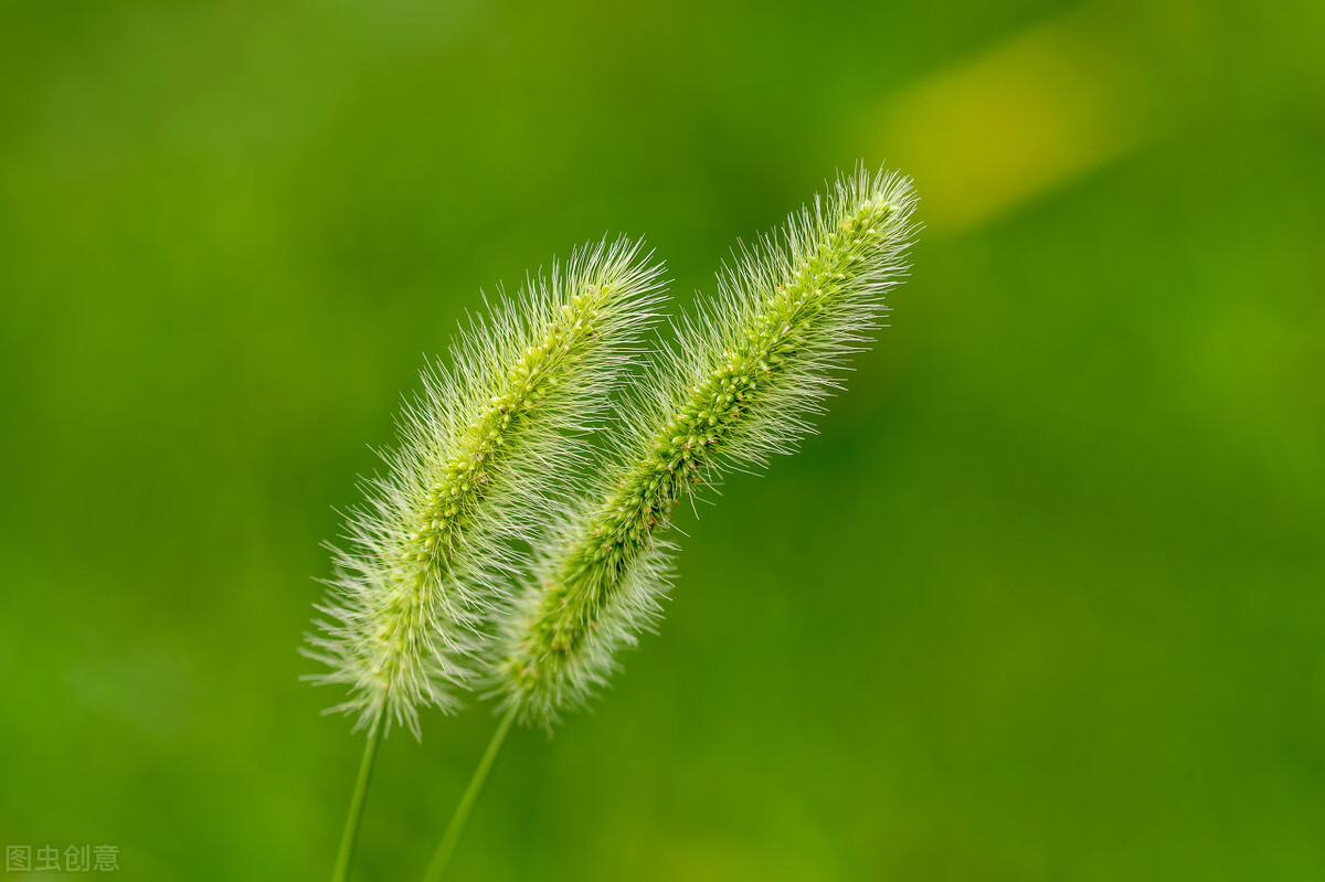 還是兩口子