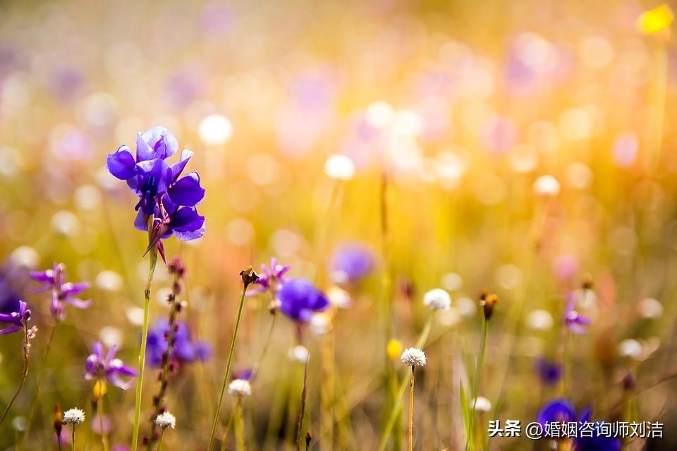 男人有以下“表現”,說明他鐵了心要跟你離婚