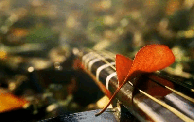 接納自己,照顧好自己