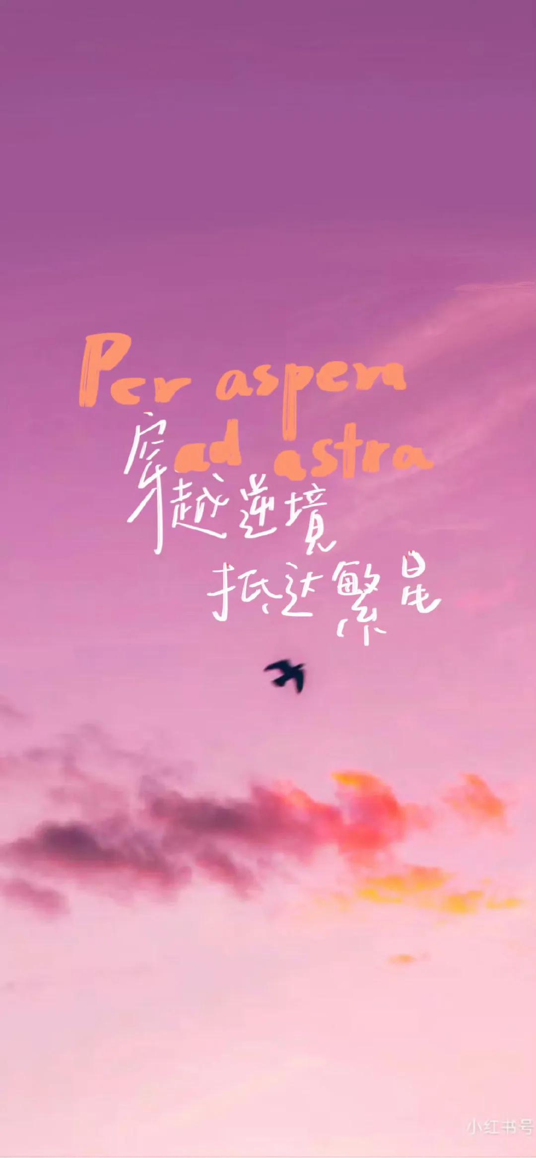 微醺夜話-人生緩緩自有答案，超治癒的背景圖、壁紙，喜歡請拿走