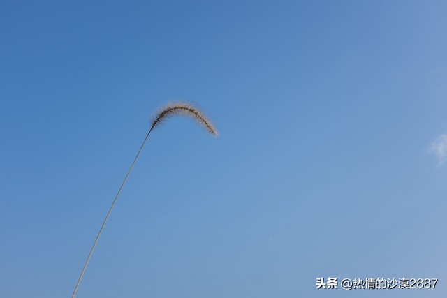 落單的原由